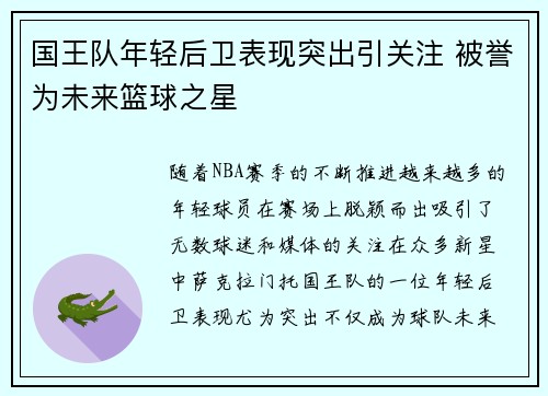 国王队年轻后卫表现突出引关注 被誉为未来篮球之星