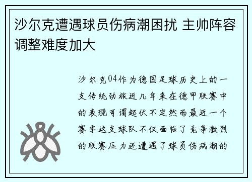 沙尔克遭遇球员伤病潮困扰 主帅阵容调整难度加大
