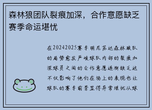 森林狼团队裂痕加深，合作意愿缺乏赛季命运堪忧